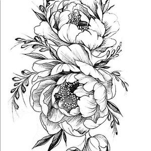 Meet your Posher, Jess